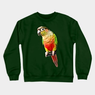 Conure Parrot Bird design | Green cheek | Love for birds Crewneck Sweatshirt